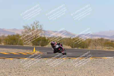 media/Mar-12-2023-SoCal Trackdays (Sun) [[d4c8249724]]/Turn 3 Speed Pans (1115am)/